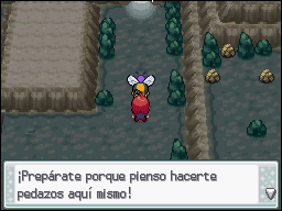 Calle Victoria en Pokémon HeartGold y SoulSilver — captura 1