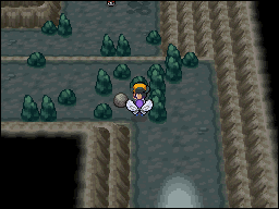 Calle Victoria en Pokémon HeartGold y SoulSilver — captura 1