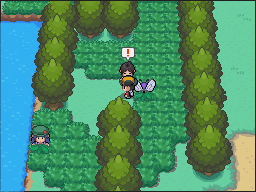 Lago de la Furia en Pokémon HeartGold y SoulSilver — captura 2