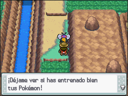 Ruta 45-46 en Pokémon HeartGold y SoulSilver — captura 2 Ruta 45-46 en Pokémon HeartGold y SoulSilver — captura 2