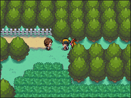 Ruta 38-39 en Pokémon HeartGold y SoulSilver — captura 1