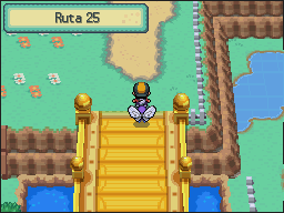 Ruta 24-25 en Pokémon HeartGold y SoulSilver — captura 1