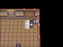 Ciudad Fucsia en Pokémon HeartGold y SoulSilver — captura 2 Ciudad Fucsia en Pokémon HeartGold y SoulSilver — captura 2