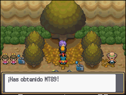 Pueblo Azalea en Pokémon HeartGold y SoulSilver — captura 2 Pueblo Azalea en Pokémon HeartGold y SoulSilver — captura 2