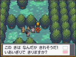 Encinar en Pokémon HeartGold y SoulSilver — captura 1 Encinar en Pokémon HeartGold y SoulSilver — captura 1