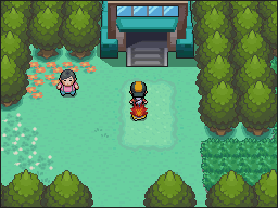 Ruta 29-30 en Pokémon HeartGold y SoulSilver — captura 1 Ruta 29-30 en Pokémon HeartGold y SoulSilver — captura 1