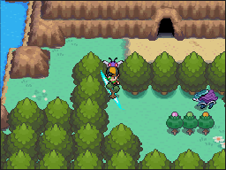 Ruta 42 en Pokémon HeartGold y SoulSilver — captura 2