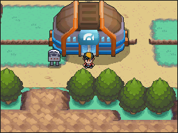Pueblo Caoba en Pokémon HeartGold y SoulSilver — captura 1