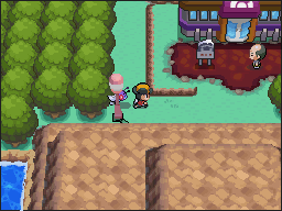 Ciudad Fucsia en Pokémon HeartGold y SoulSilver — captura 2 Ciudad Fucsia en Pokémon HeartGold y SoulSilver — captura 2