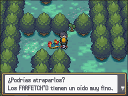 Encinar en Pokémon HeartGold y SoulSilver — captura 2 Encinar en Pokémon HeartGold y SoulSilver — captura 2