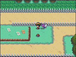 Ruta 38-39 en Pokémon HeartGold y SoulSilver — captura 1
