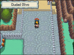 Ruta 38-39 en Pokémon HeartGold y SoulSilver — captura 2