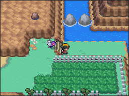 Ruta 9 en Pokémon HeartGold y SoulSilver — captura 1 Ruta 9 en Pokémon HeartGold y SoulSilver — captura 1