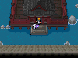 Ciudad Endrino en Pokémon HeartGold y SoulSilver — captura 1