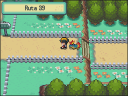 Ruta 38-39 en Pokémon HeartGold y SoulSilver — captura 2