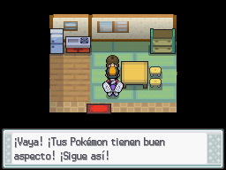 Ruta 27-26 en Pokémon HeartGold y SoulSilver — captura 1
