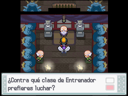 Ciudad Endrino en Pokémon HeartGold y SoulSilver — captura 2