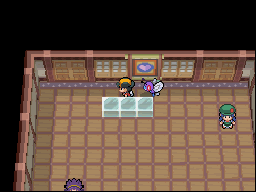 Ciudad Fucsia en Pokémon HeartGold y SoulSilver — captura 1 Ciudad Fucsia en Pokémon HeartGold y SoulSilver — captura 1