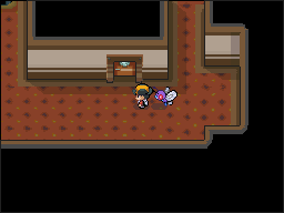 S.S Aqua en Pokémon HeartGold y SoulSilver — captura 1