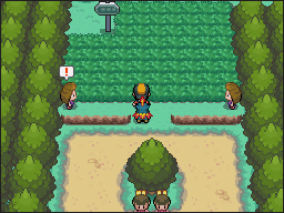 Ruta 36-37 en Pokémon HeartGold y SoulSilver — captura 1 Ruta 36-37 en Pokémon HeartGold y SoulSilver — captura 1