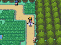 Ruta 34 en Pokémon HeartGold y SoulSilver — captura 2