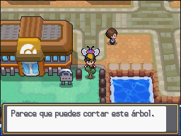 Ciudad Carmín en Pokémon HeartGold y SoulSilver — captura 1 Ciudad Carmín en Pokémon HeartGold y SoulSilver — captura 1