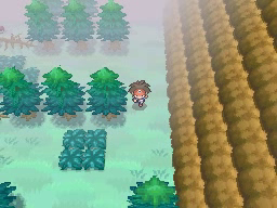 Boquete Gigante (2ª visita) en Pokémon Negro 2 y Blanco 2 — captura 2