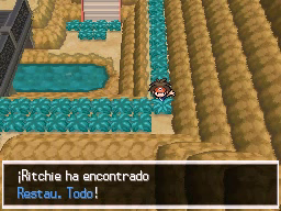 Calle Victoria en Pokémon Negro 2 y Blanco 2 — captura 1 Calle Victoria en Pokémon Negro 2 y Blanco 2 — captura 1