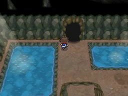 Boquete Gigante (2ª visita) en Pokémon Negro 2 y Blanco 2 — captura 2