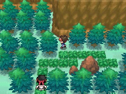 Ruta 23 en Pokémon Negro 2 y Blanco 2 — captura 1 Ruta 23 en Pokémon Negro 2 y Blanco 2 — captura 1