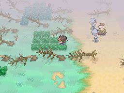 Boquete Gigante (2ª visita) en Pokémon Negro 2 y Blanco 2 — captura 1