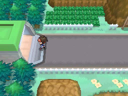 Ruta 11 en Pokémon Negro 2 y Blanco 2 — captura 2