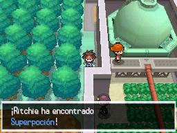 Pokéwood en Pokémon Negro 2 y Blanco 2 — captura 2