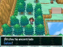 Ruta 23 en Pokémon Negro 2 y Blanco 2 — captura 2 Ruta 23 en Pokémon Negro 2 y Blanco 2 — captura 2