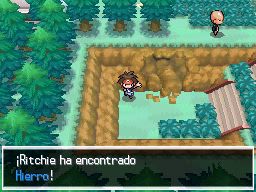 Ruta 9 en Pokémon Negro 2 y Blanco 2 — captura 2