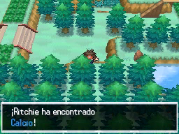 Ruta 22 en Pokémon Negro 2 y Blanco 2 — captura 2