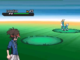 Ruta 13 en Pokémon Negro 2 y Blanco 2 — captura 2 Ruta 13 en Pokémon Negro 2 y Blanco 2 — captura 2