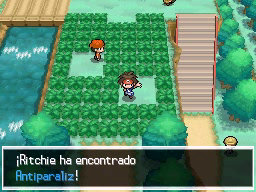Ruta 20 (1ª visita) en Pokémon Negro 2 y Blanco 2