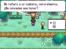 Ciudad Fayenza en Pokémon Negro 2 y Blanco 2 — captura 1