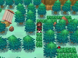 Ruta 23 en Pokémon Negro 2 y Blanco 2 — captura 2 Ruta 23 en Pokémon Negro 2 y Blanco 2 — captura 2