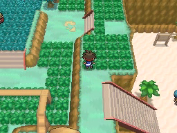 Ruta 22 en Pokémon Negro 2 y Blanco 2 — captura 2