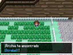 Puente Villa en Pokémon Negro 2 y Blanco 2 — captura 1 Puente Villa en Pokémon Negro 2 y Blanco 2 — captura 1