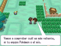 Ruta 20 (1ª visita) en Pokémon Negro 2 y Blanco 2 — captura 1 Ruta 20 (1ª visita) en Pokémon Negro 2 y Blanco 2 — captura 1