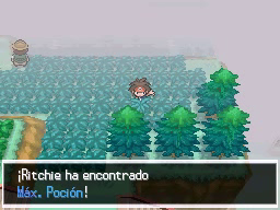 Ruta 14 en Pokémon Negro 2 y Blanco 2 — captura 2 Ruta 14 en Pokémon Negro 2 y Blanco 2 — captura 2
