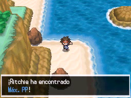 Ruta 17-18 en Pokémon Negro 2 y Blanco 2 — captura 2