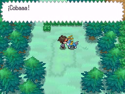 Ruta 13 en Pokémon Negro 2 y Blanco 2 — captura 1 Ruta 13 en Pokémon Negro 2 y Blanco 2 — captura 1