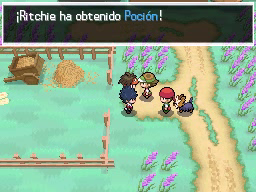 Ruta 20 (1ª visita) en Pokémon Negro 2 y Blanco 2