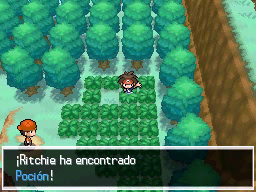 Pueblo Ocre en Pokémon Negro 2 y Blanco 2