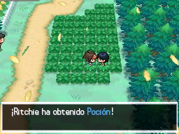 Ruta 1 en Pokémon Negro 2 y Blanco 2 — captura 2