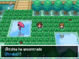 Ruta 6 en Pokémon Negro 2 y Blanco 2 — captura 2 Ruta 6 en Pokémon Negro 2 y Blanco 2 — captura 2
